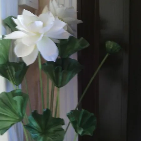 Guest house Ostiense Rome